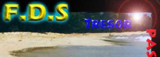 fds